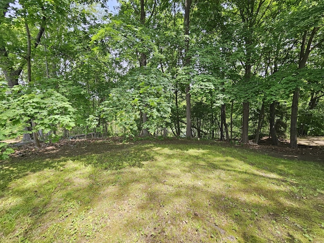 100 Morin Ave, Killingly, CT 06239 - view of green lawn