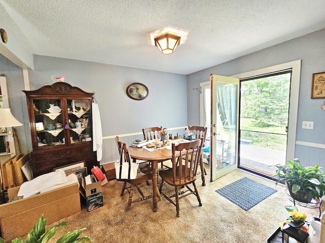 100 Morin Ave, Killingly, CT 06239 - carpeted dining space featuring a wainscoted wall and a textured ceiling