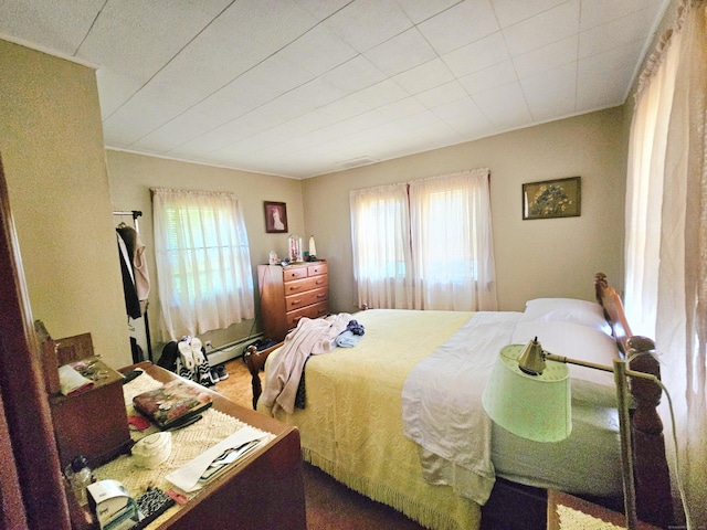 100 Morin Ave, Killingly, CT 06239 - bedroom featuring multiple windows, a baseboard radiator, and carpet floors
