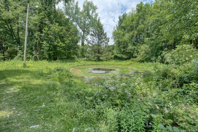 169 Dunn Rd, Coventry, CT 06238 - view of nature