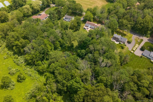 169 Dunn Rd, Coventry, CT 06238 - aerial view of a forest