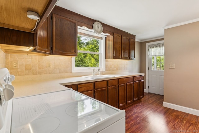 4 Buttonball Dr, Newtown, CT 06482 - kitchen featuring plenty of natural light, dark wood-type flooring, light countertops, and crown molding