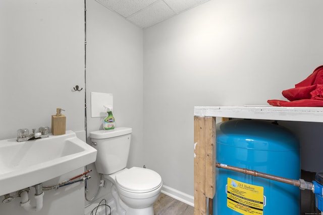 13 Williams Ct, Wolcott, CT 06716 - bathroom with a drop ceiling, toilet, wood finished floors, baseboards, and a sink