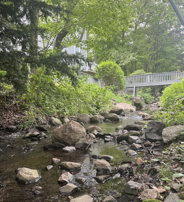 13 Williams Ct, Wolcott, CT 06716 - view of yard with a wooded view