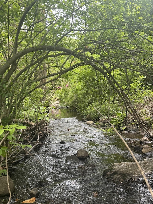 13 Williams Ct, Wolcott, CT 06716 - view of undeveloped land