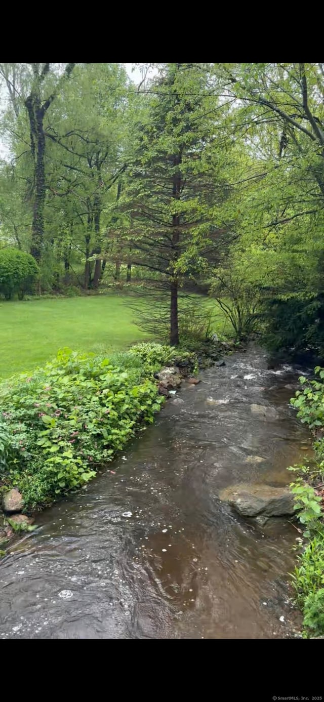 13 Williams Ct, Wolcott, CT 06716 - view of green lawn