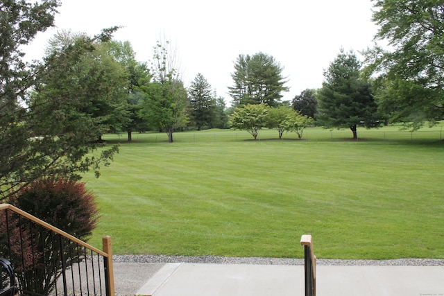 106 S Putter Dr Unit 106, Wallingford, CT 06492 - view of yard