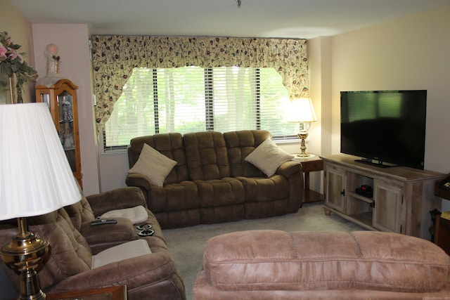 106 S Putter Dr Unit 106, Wallingford, CT 06492 - carpeted living area featuring plenty of natural light