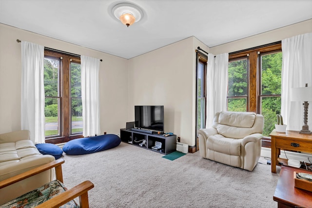 187 Whitehall Ave, Stonington, CT 06355 - living room featuring healthy amount of natural light and carpet