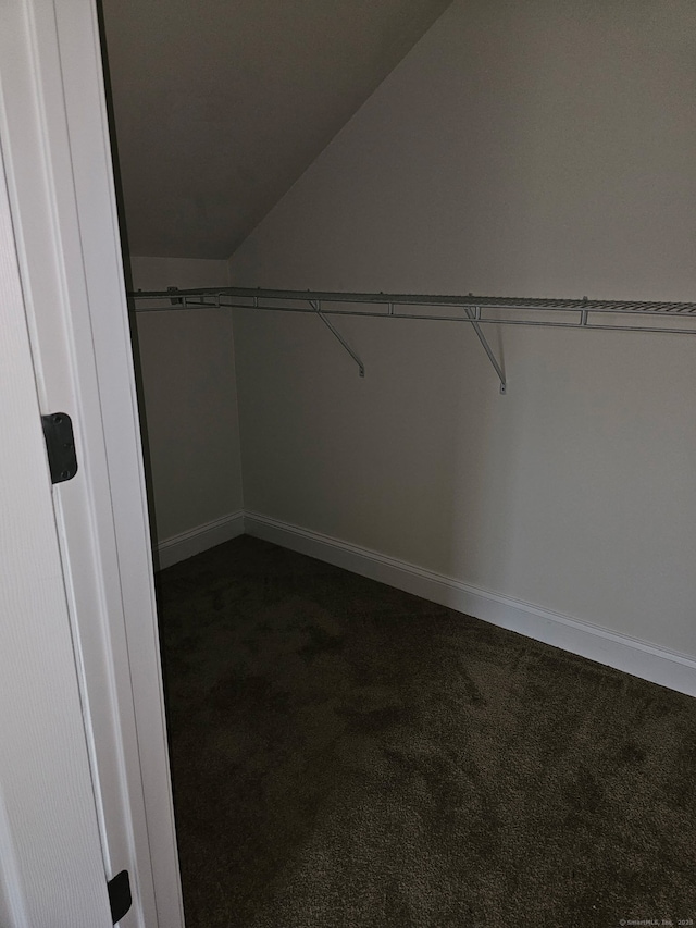 17 Marble Faun Ln Unit 17, Windsor, CT 06095 - spacious closet featuring dark colored carpet and vaulted ceiling