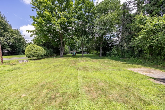 881 Pine St, Bristol, CT 06010 - view of green lawn with a playground