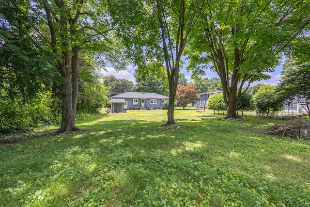 881 Pine St, Bristol, CT 06010 - view of green lawn