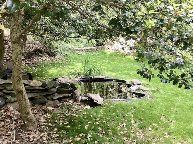 322 N St, Roxbury, CT 06783 - view of grassy yard