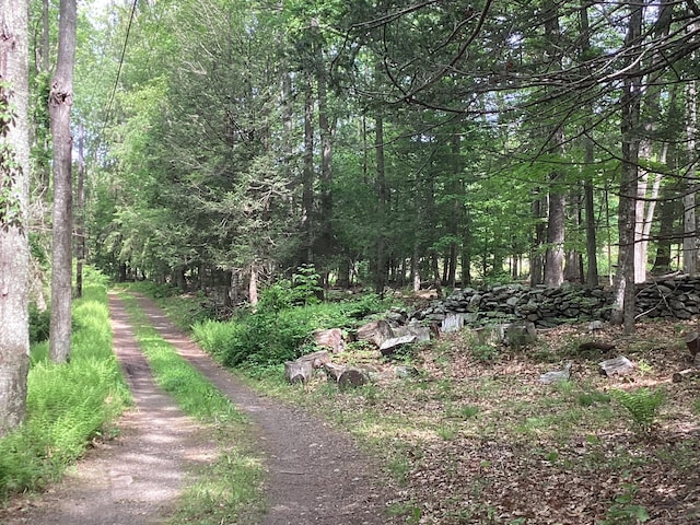 322 N St, Roxbury, CT 06783 - view of wooded area