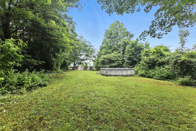 567 Bunker Hill Ave, Waterbury, CT 06708 - view of green lawn with an outdoor pool