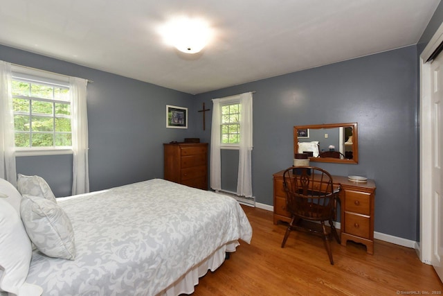 10 Brewer Rd, East Hampton, CT 06424 - bedroom with wood finished floors, baseboards, and baseboard heating