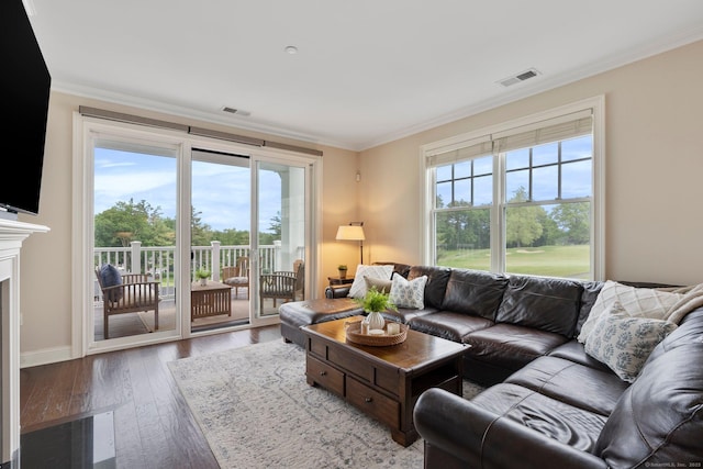 788 Farmington Ave Apt 202, Farmington, CT 06032 - living area featuring healthy amount of natural light, ornamental molding, wood finished floors, a fireplace, and baseboards
