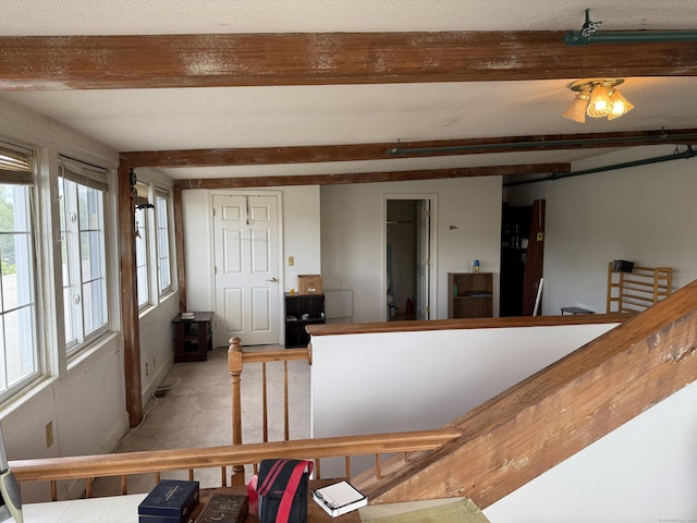45 Main St Apt 401, Plainfield, CT 06374 - stairs with beam ceiling and carpet flooring