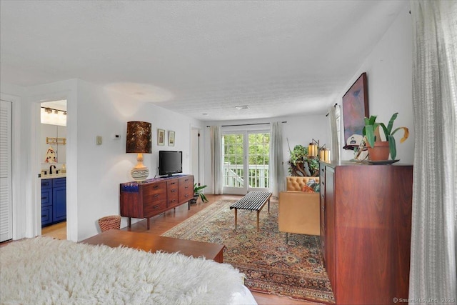 41 Blueberry Cir, Ellington, CT 06029 - living room featuring light wood-style floors and a textured ceiling