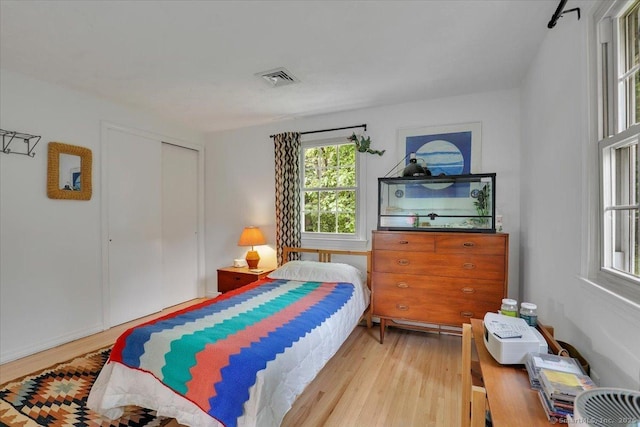 41 Blueberry Cir, Ellington, CT 06029 - bedroom with light wood-style flooring and a closet
