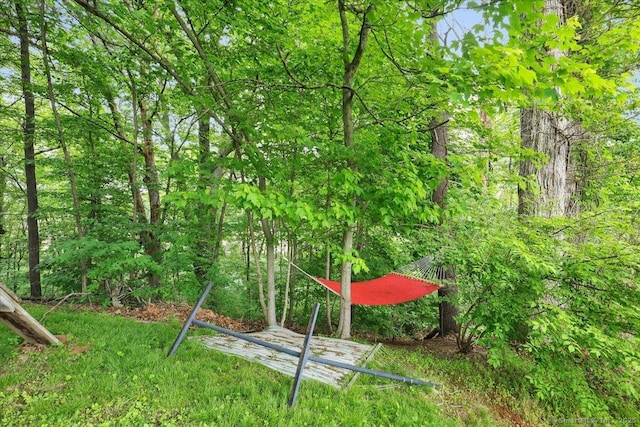 41 Blueberry Cir, Ellington, CT 06029 - view of yard