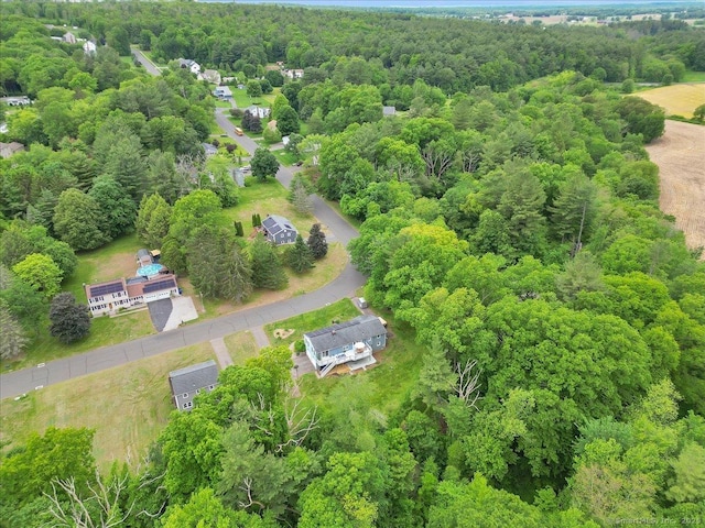 41 Blueberry Cir, Ellington, CT 06029 - aerial view of a forest