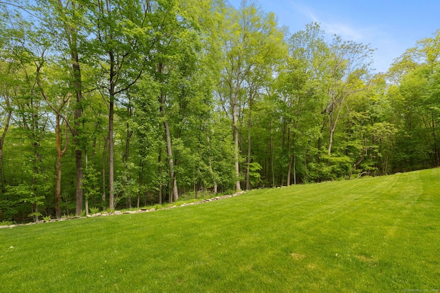 21 Dilaj Dr, Columbia, CT 06237 - view of green lawn featuring a forest view
