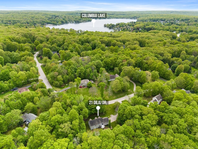 21 Dilaj Dr, Columbia, CT 06237 - aerial view of a heavily wooded area and a nearby body of water