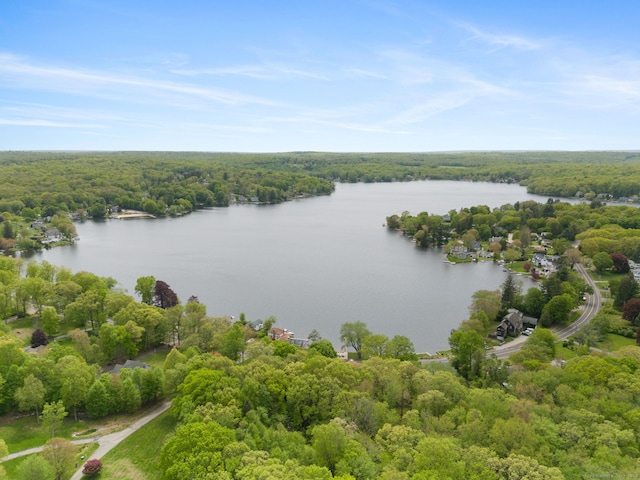 21 Dilaj Dr, Columbia, CT 06237 - bird's eye view of a heavily wooded area and a nearby body of water