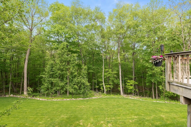 21 Dilaj Dr, Columbia, CT 06237 - view of grassy yard