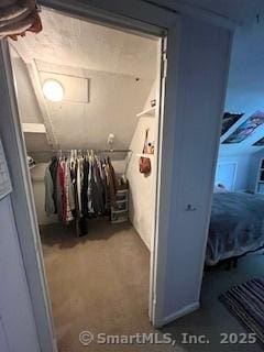 64 Hayes Rd, Simsbury, CT 06081 - spacious closet with carpet flooring