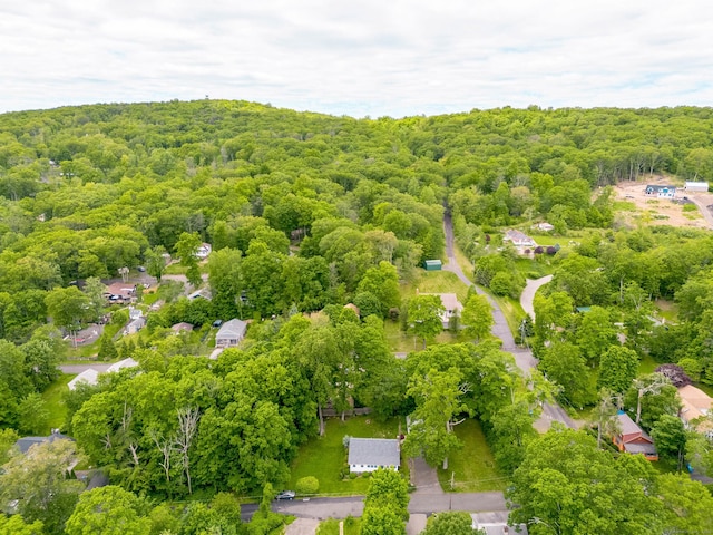 15 Seneca Rd, Middlefield, CT 06455 - aerial view of a forest