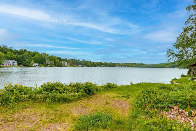 15 Seneca Rd, Middlefield, CT 06455 - water view