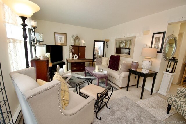 35 Mountain Village Rd Unit 15, Waterbury, CT 06706 - living area featuring carpet flooring