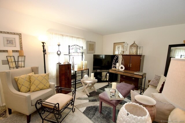 35 Mountain Village Rd Unit 15, Waterbury, CT 06706 - living room with carpet floors