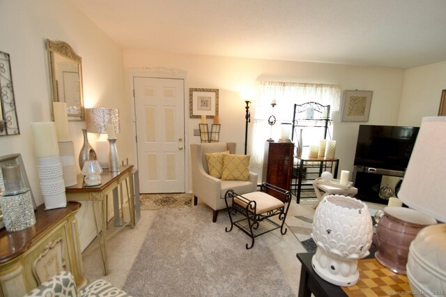35 Mountain Village Rd Unit 15, Waterbury, CT 06706 - living area with carpet flooring