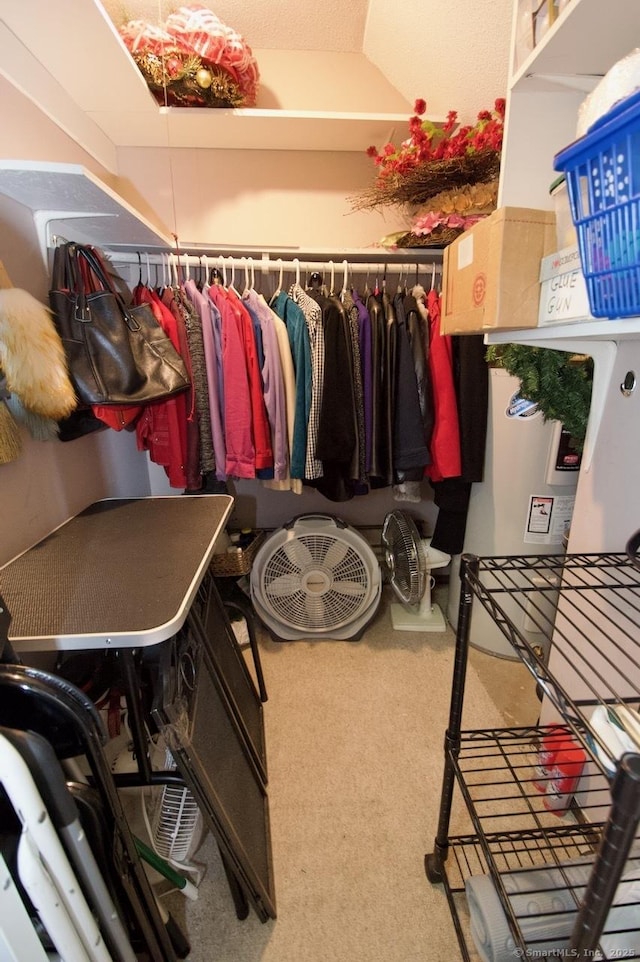 35 Mountain Village Rd Unit 15, Waterbury, CT 06706 - spacious closet featuring carpet flooring
