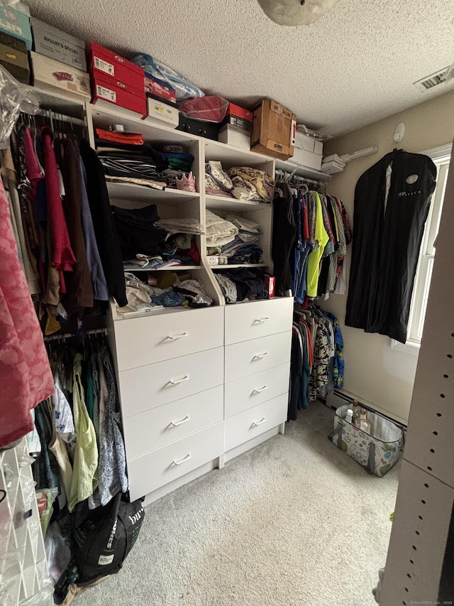 676 Deep River Rd, Colchester, CT 06415 - walk in closet with carpet flooring