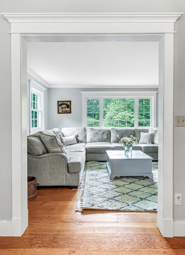 91 Bart Rd, Monroe, CT 06468 - living room with wood finished floors
