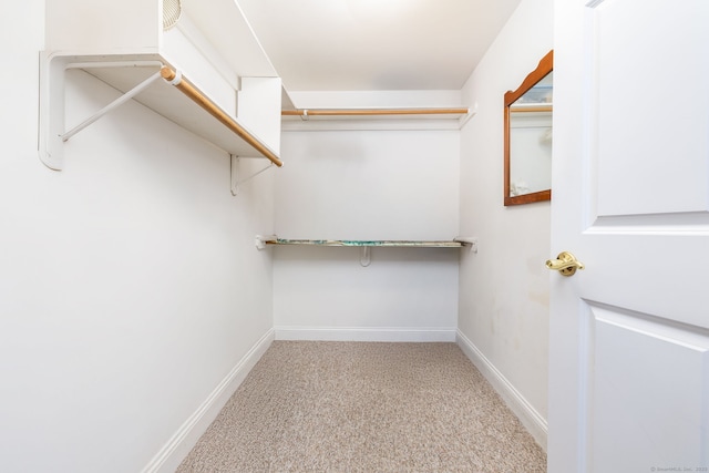 237 Fern St Apt 206W, West Hartford, CT 06119 - walk in closet with carpet