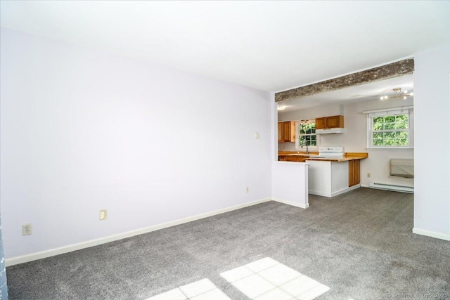 12 Terrace Pl Unit 12, New Milford, CT 06776 - unfurnished living room featuring a baseboard heating unit, carpet flooring, a sink, and baseboards