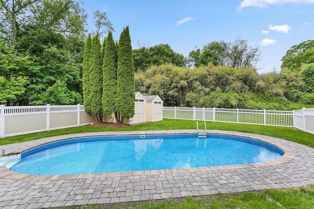 31 Elizabeth St, Shelton, CT 06484 - view of pool