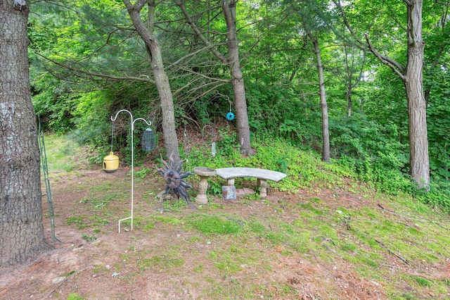 21 Lakeview Dr, Branford, CT 06405 - photo 38
