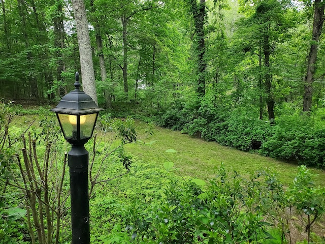 176 Hanover Rd, Newtown, CT 06470 - view of yard with a wooded view