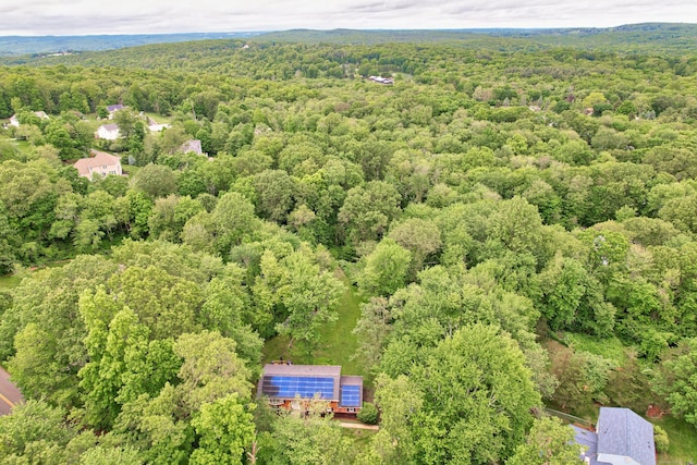 408 Reservoir Rd, Southbury, CT 06488 - bird's eye view of a forest