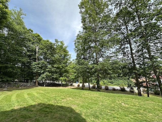 31 Cherry Hill Rd, Brooklyn, CT 06234 - photo 2