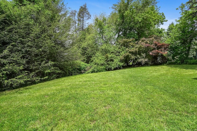 37 Highgate Rd, Trumbull, CT 06611 - view of green lawn