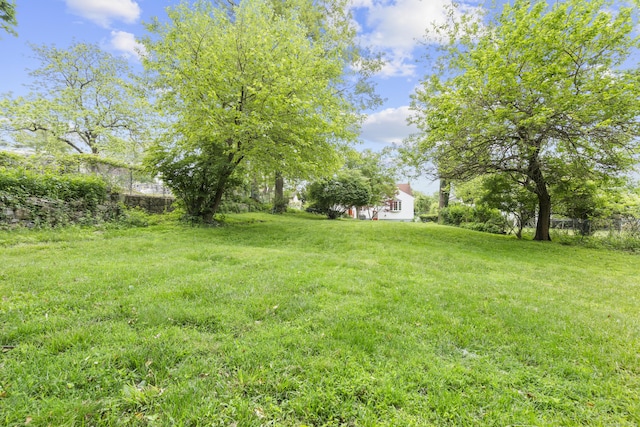 182 5th St, Stamford, CT 06905 - view of green lawn