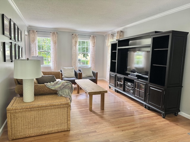 273 New London Rd, Colchester, CT 06415 - living area featuring ornamental molding, light wood finished floors, a textured ceiling, and baseboards