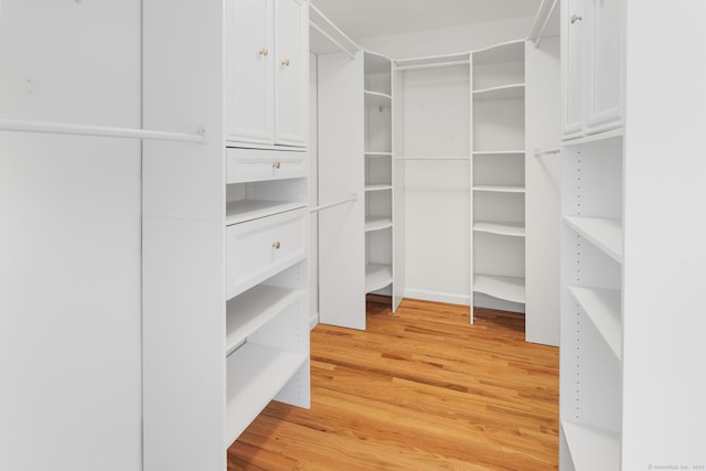 51 Lexington Gdns Unit 51, North Haven, CT 06473 - spacious closet with light wood finished floors